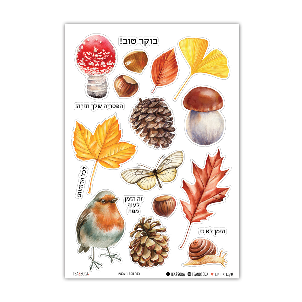 כבר הסתיו עכשיו