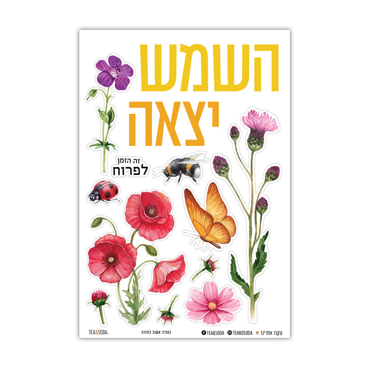 מחכה לאביב