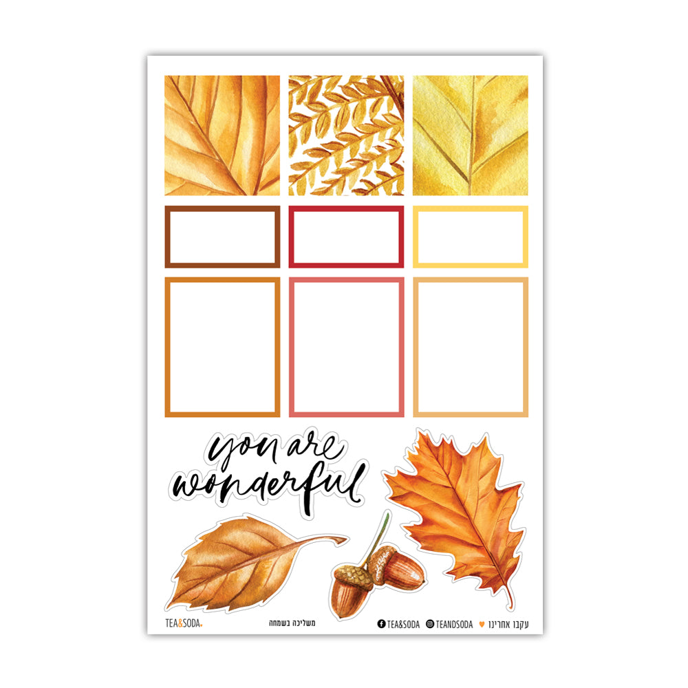 עלים שקופים