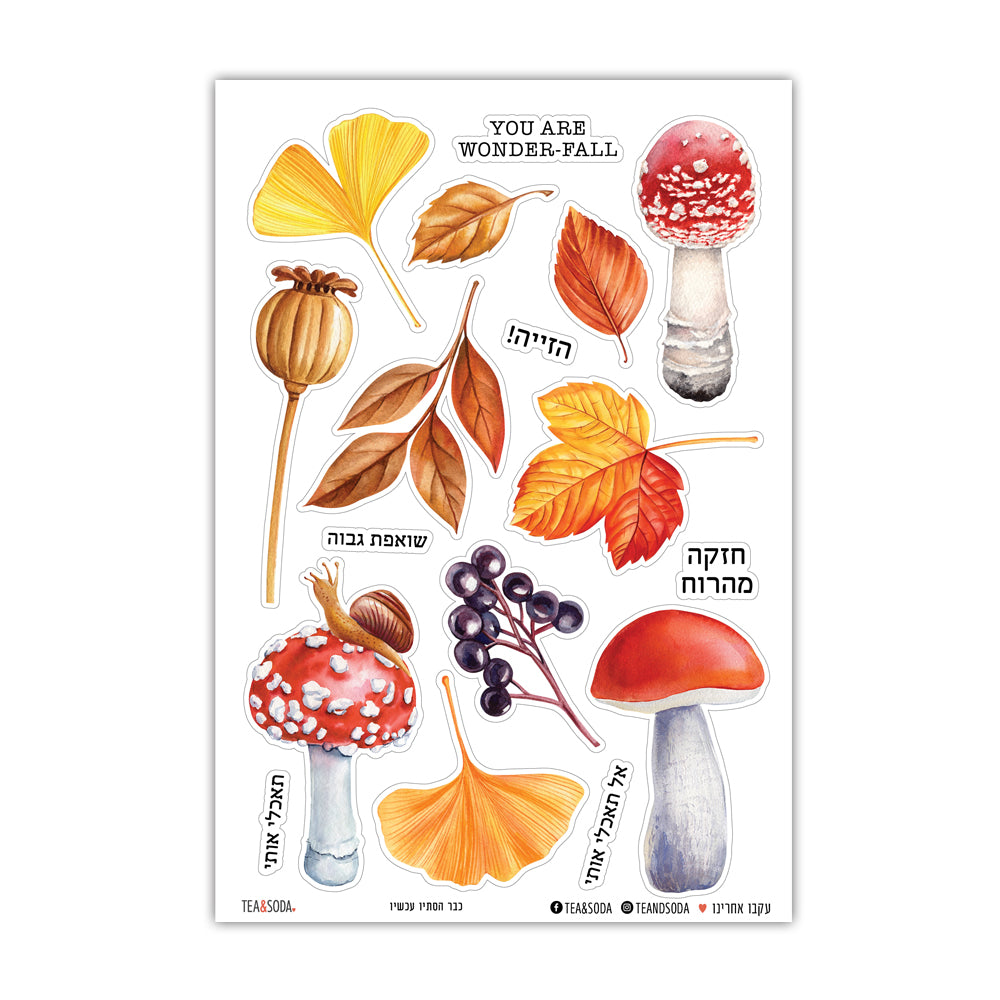 כבר הסתיו עכשיו