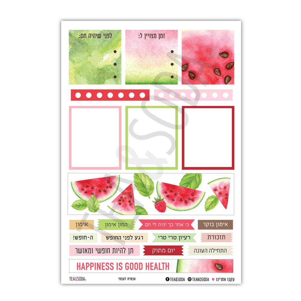 Planner stickers set - Watermelon