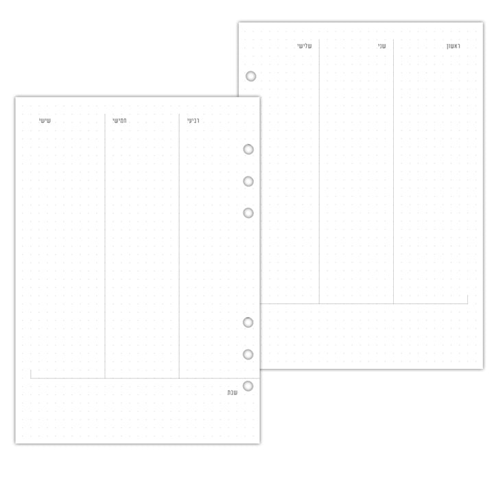 Bullet Journal Inside Pages